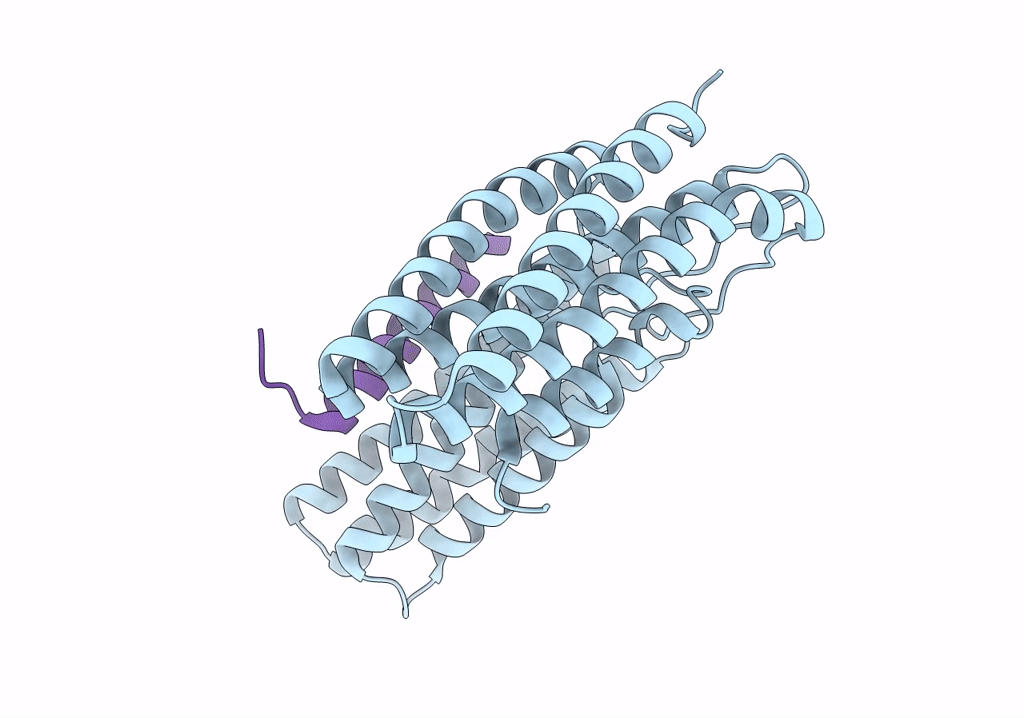 7ZW4 image