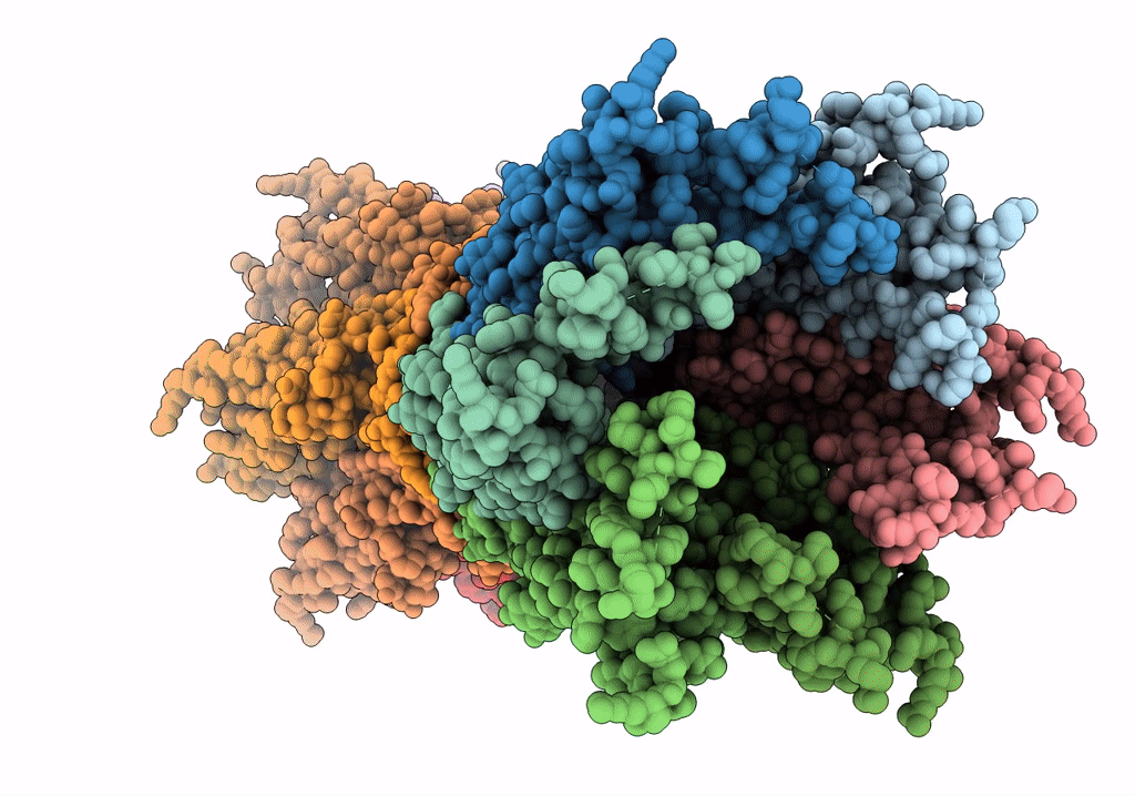 7ZXP image