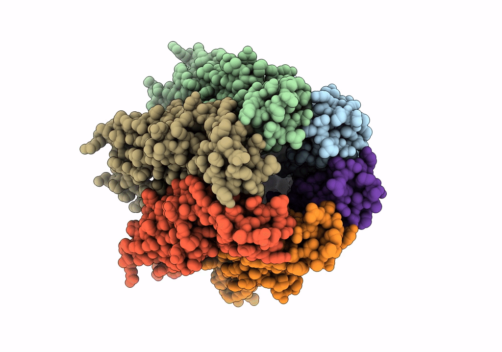 7ZXT image