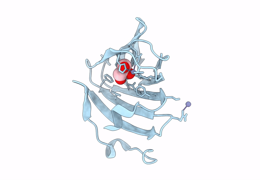 7ZYC image
