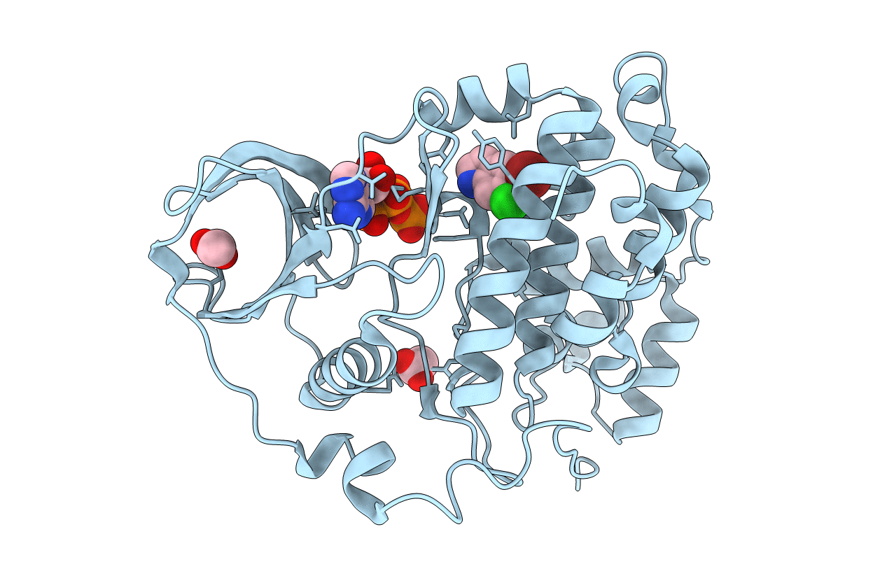 7ZYD image