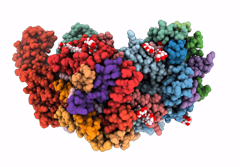 7ZYV image