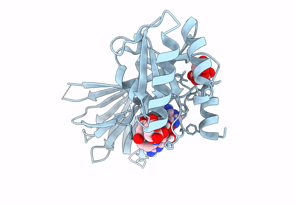 7ZZJ image
