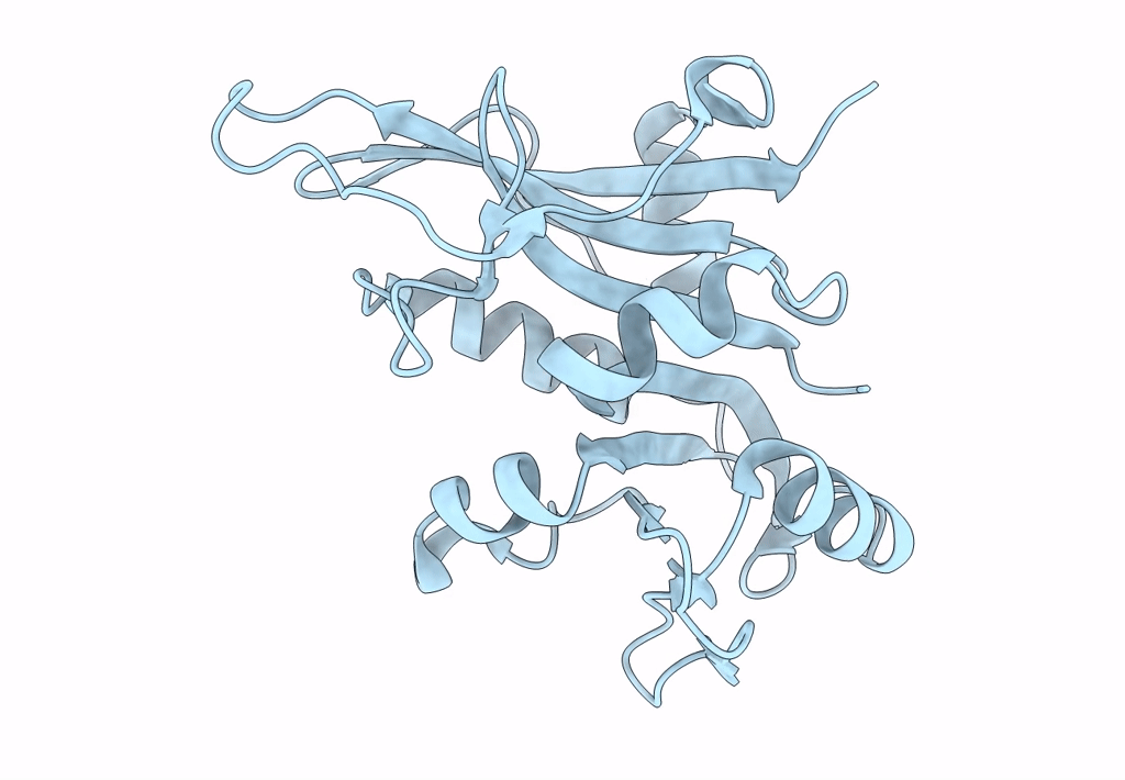 7ZZX image