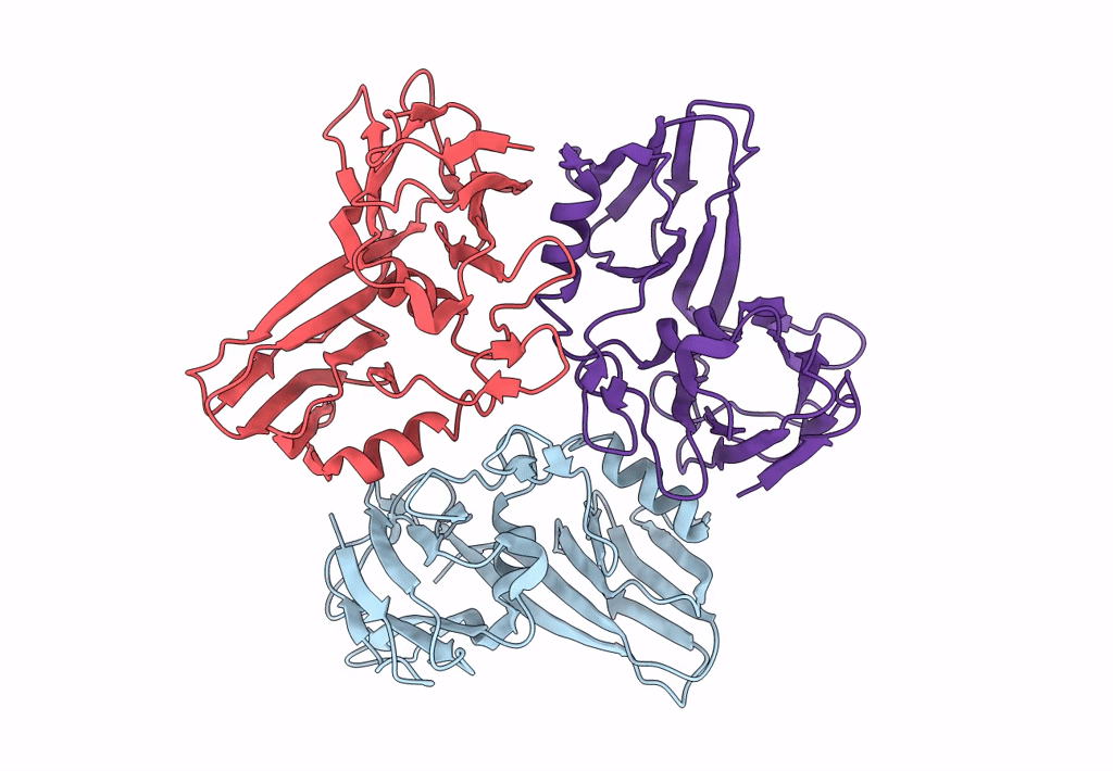 8A01 image