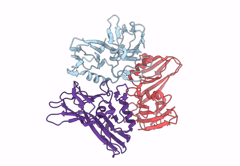 8A03 image