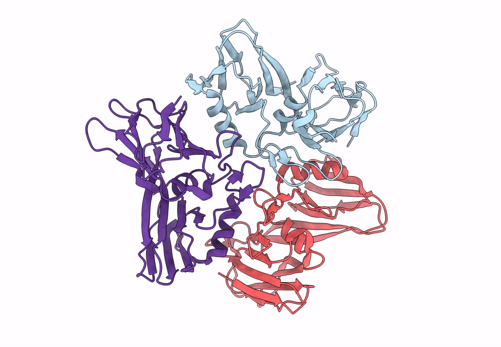 8A04 image