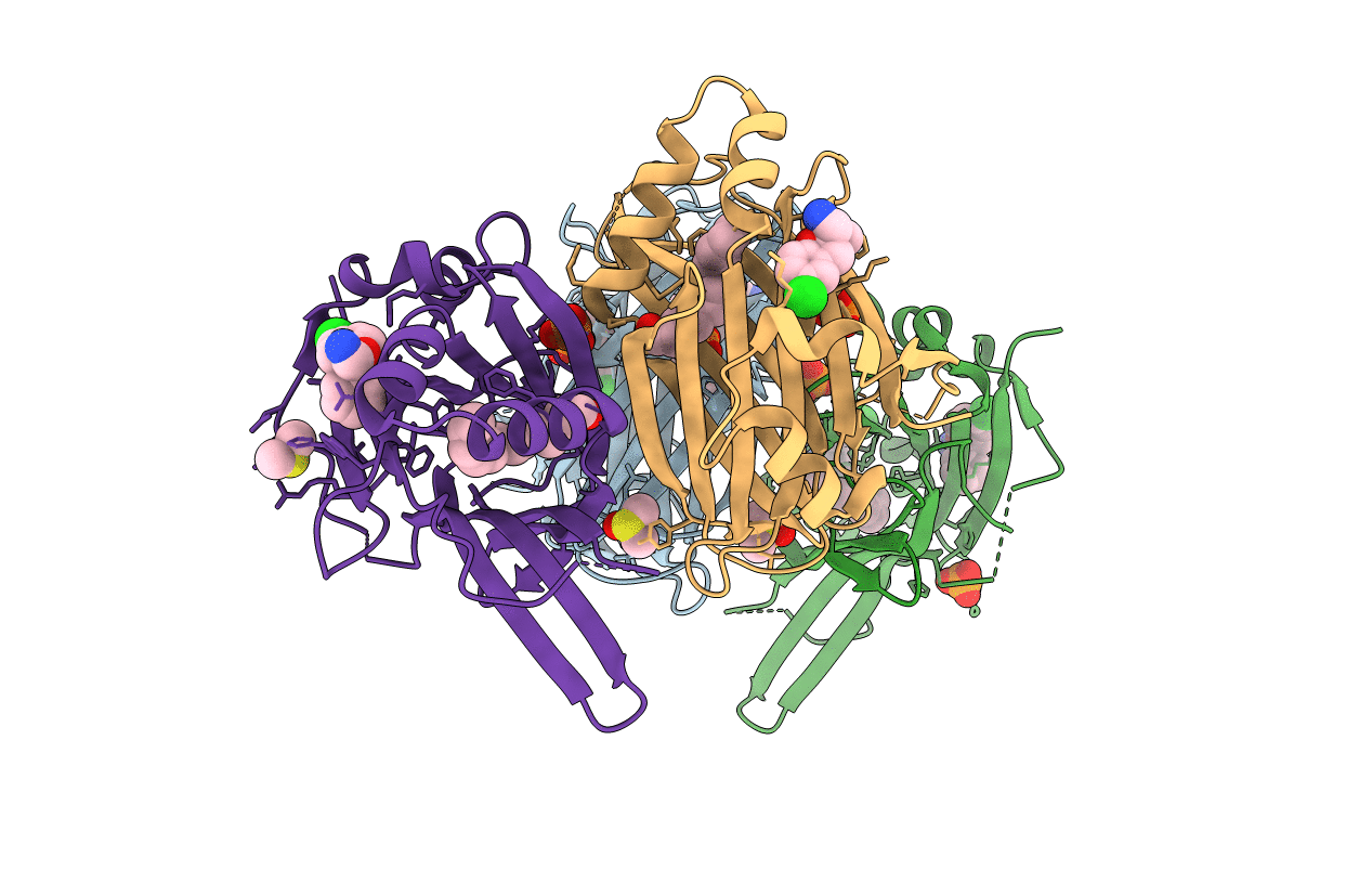 8A0V image