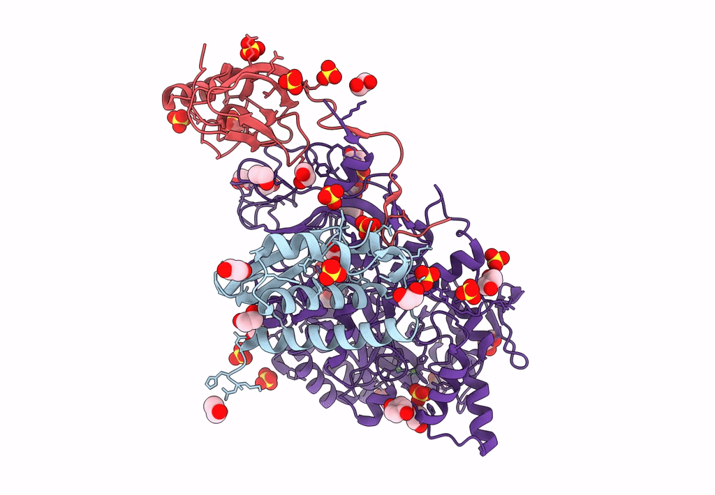 8A18 image