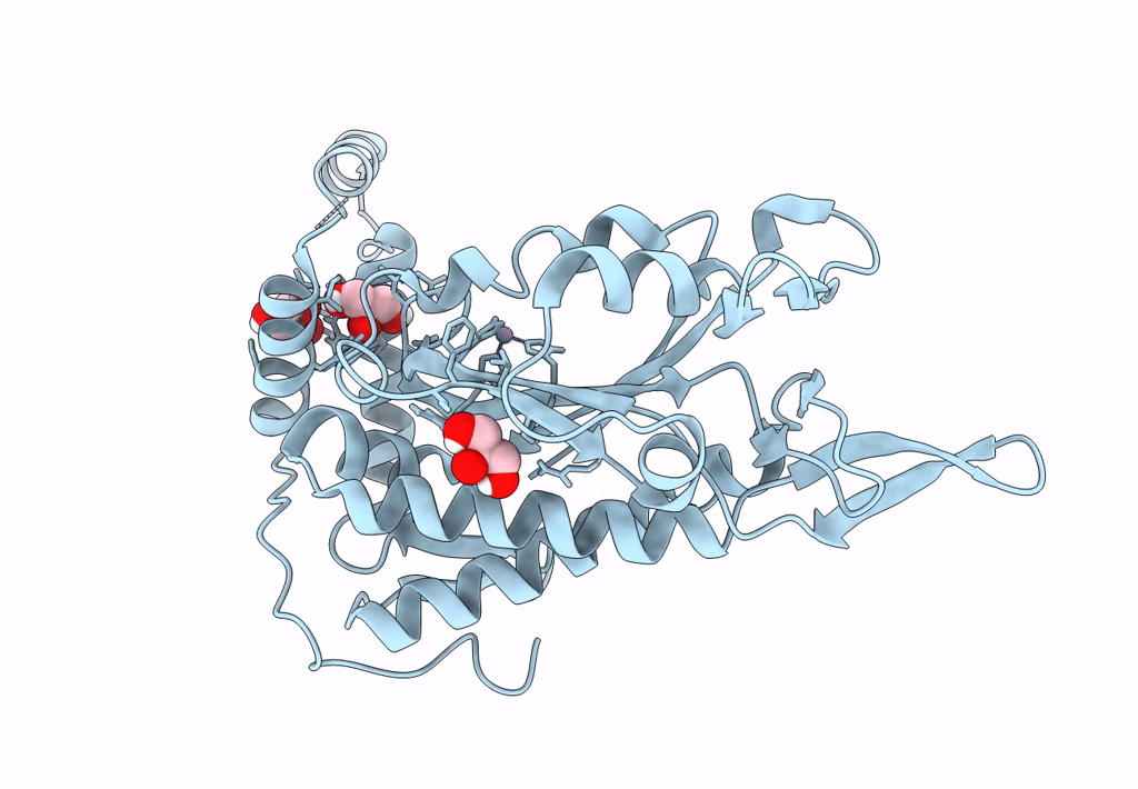 8A1B image