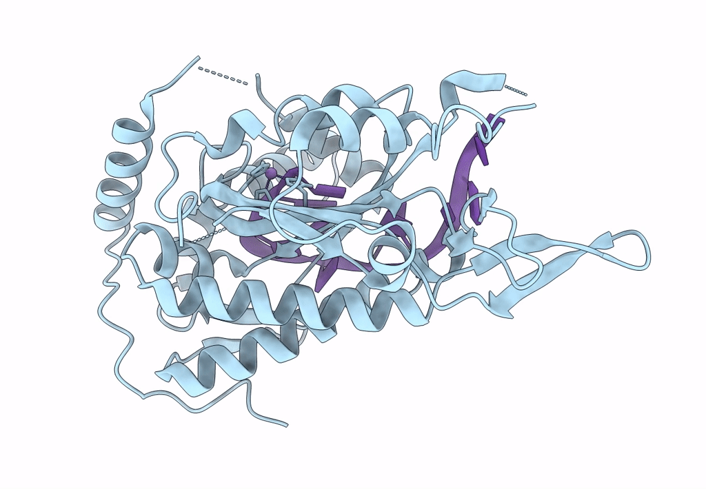 8A1C image