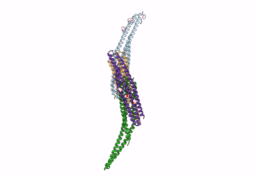 8A1G image
