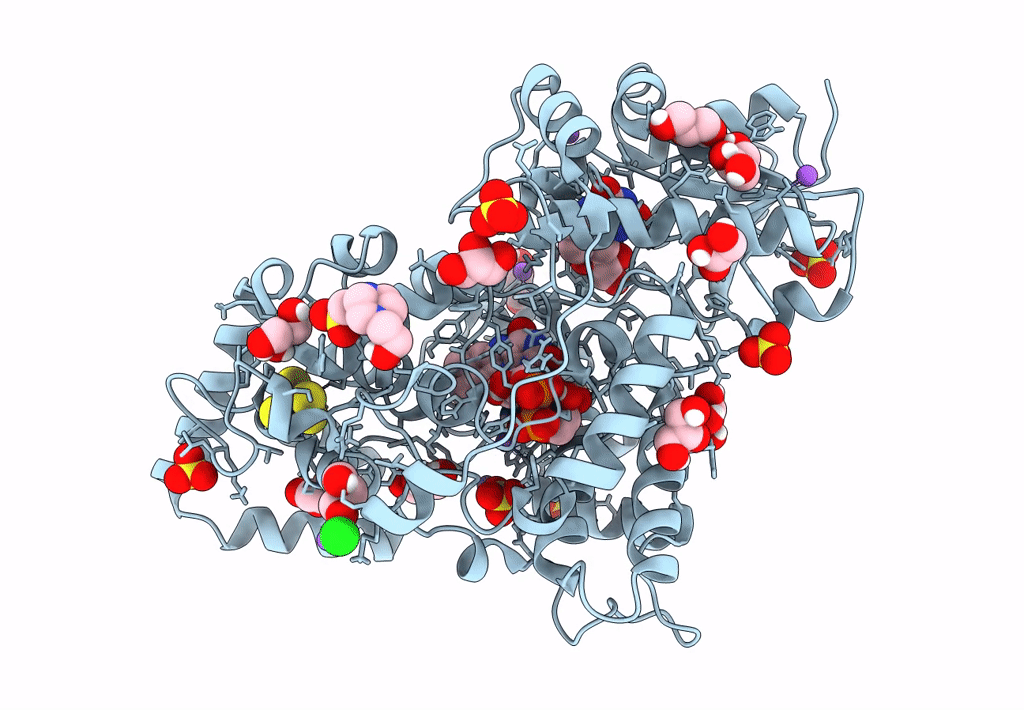 8A1H image