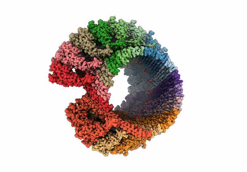 8A1S image