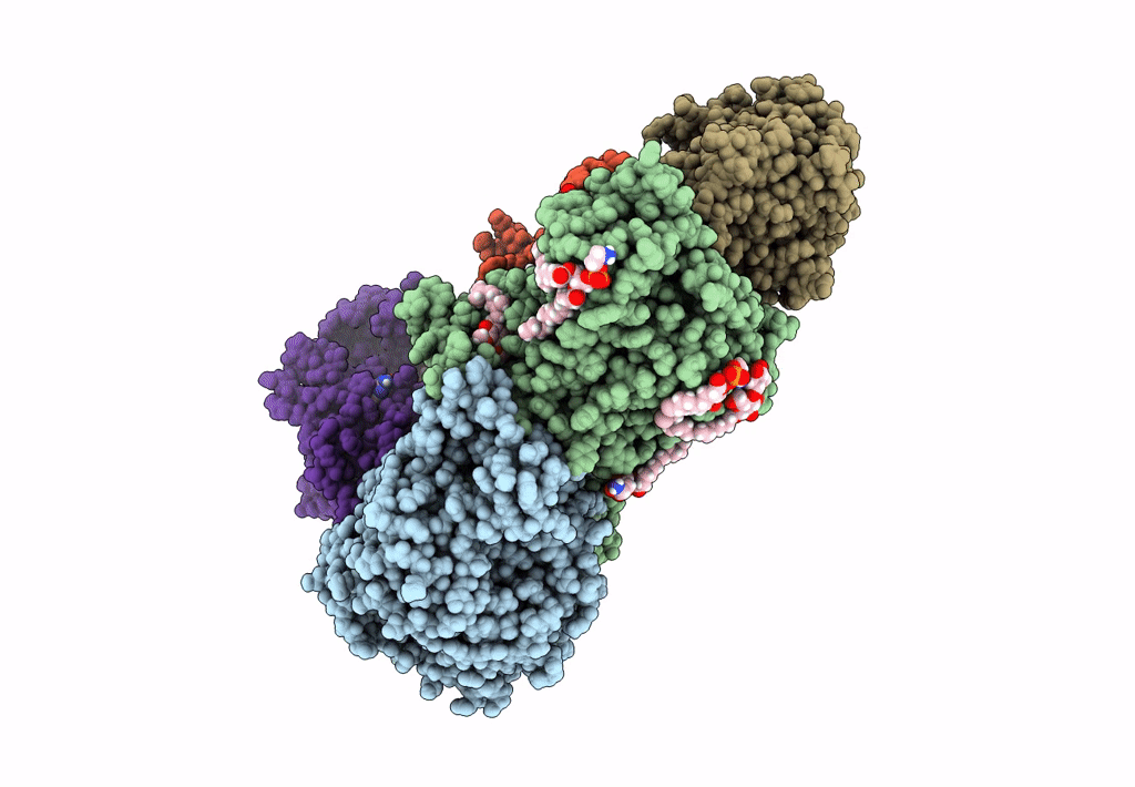 8A1U image