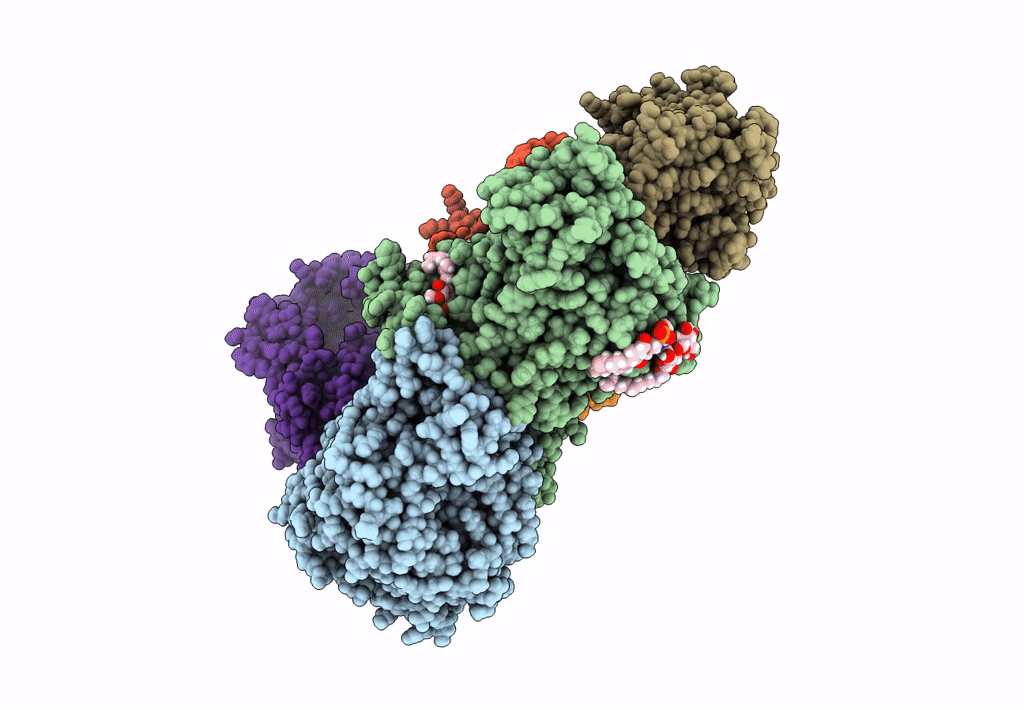 8A1V image