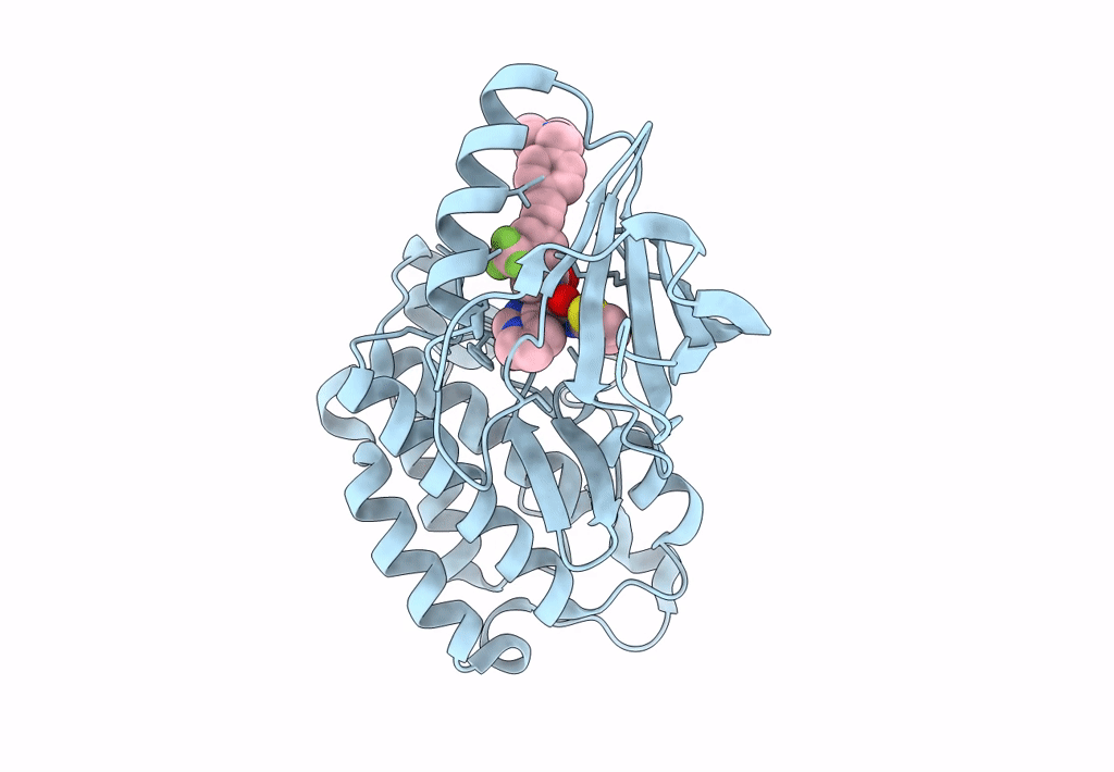 8A2B image