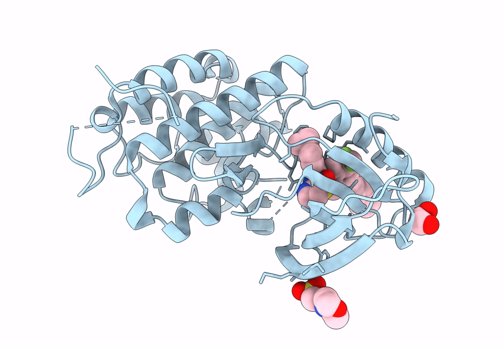 8A2D image