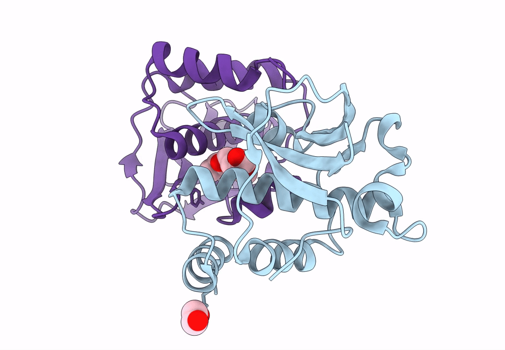 8A2G image