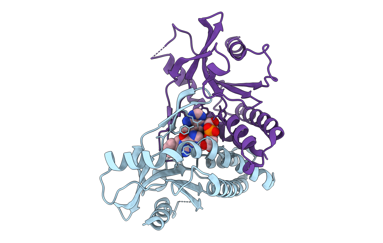 8A2I image