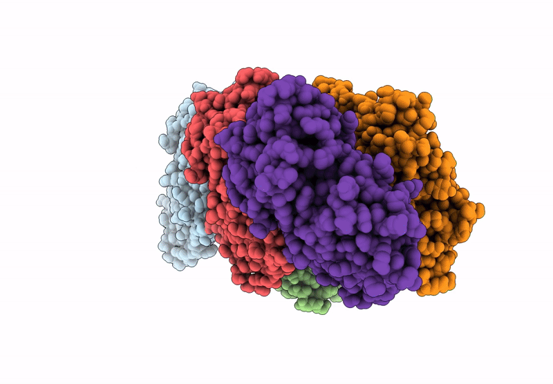8A2R image