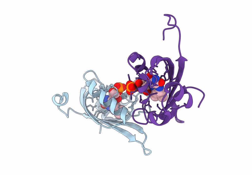 8A2W image