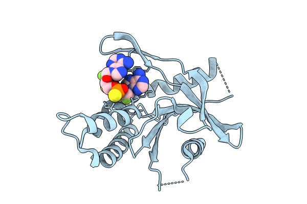 8A2X image