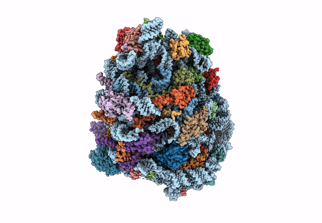 8A3D image