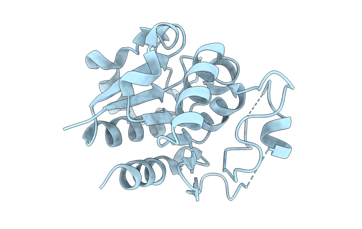 8A3P image