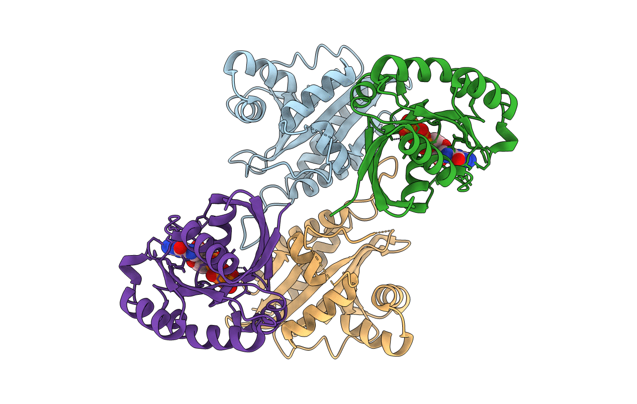 8A4B image