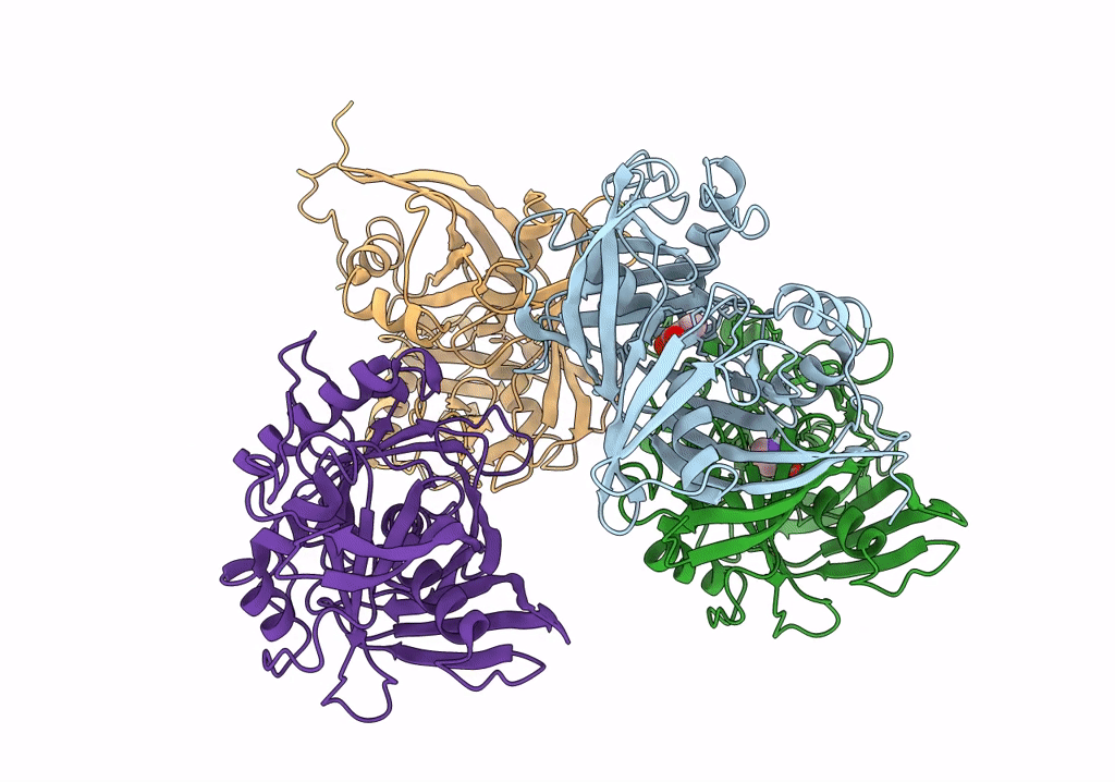 8A4R image