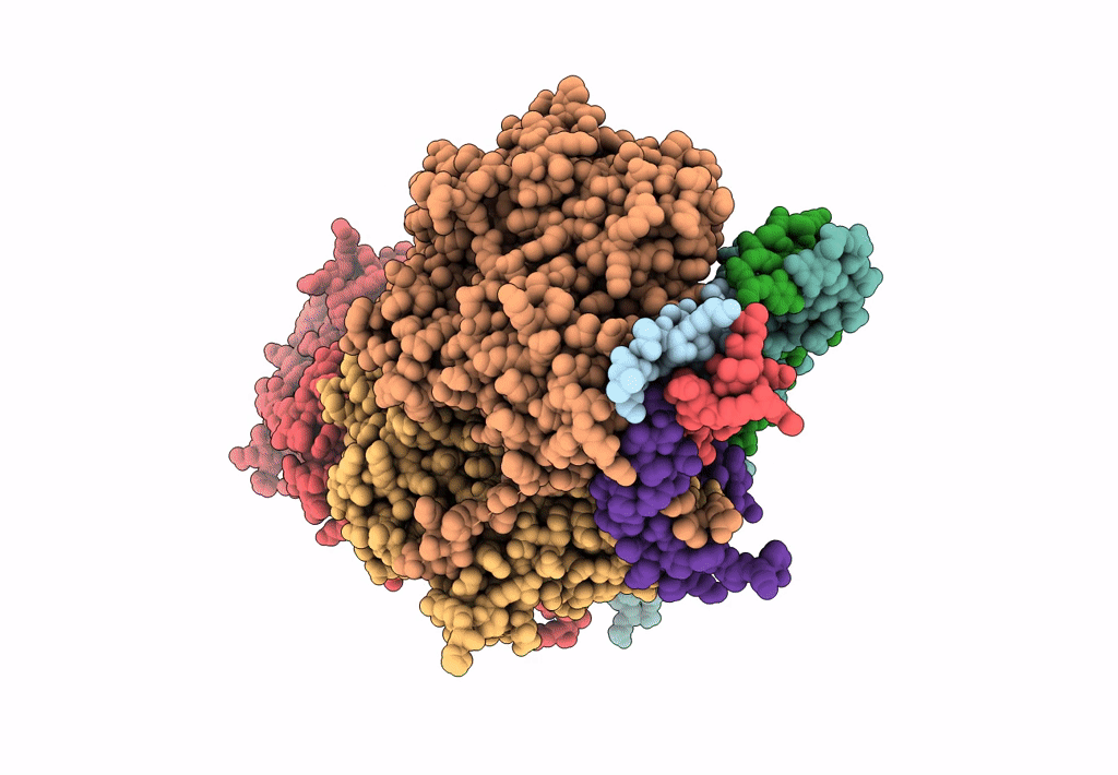 8A5P image