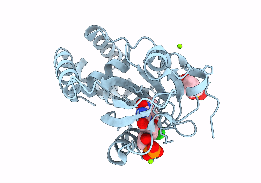 8A5R image