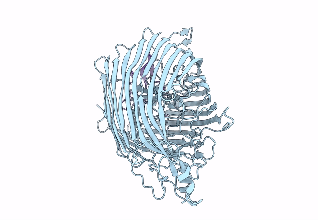 8A60 image