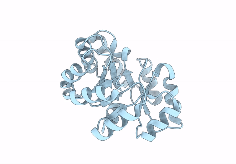 8A8N image