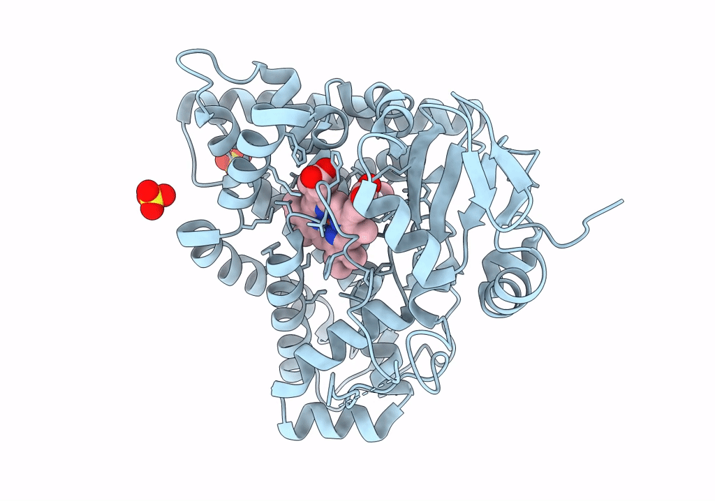 8A91 image