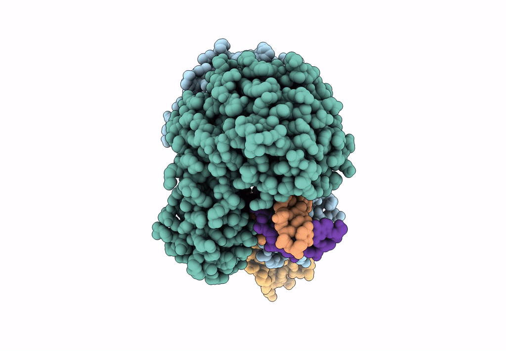 8A93 image