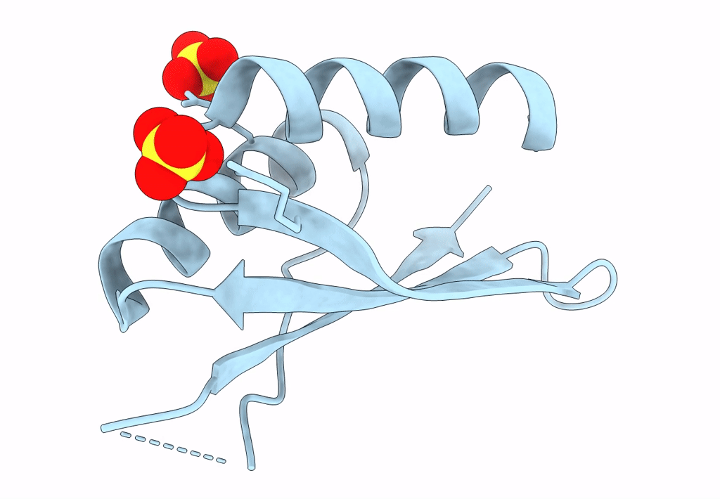 8A9W image