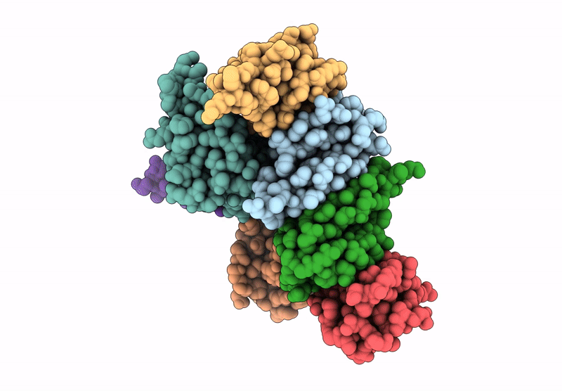 8A9X image