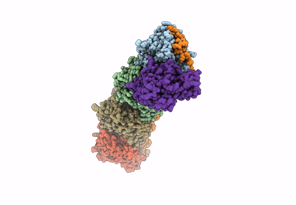 8A9Z image