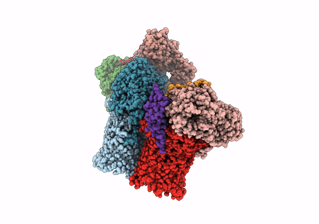 8AA2 image