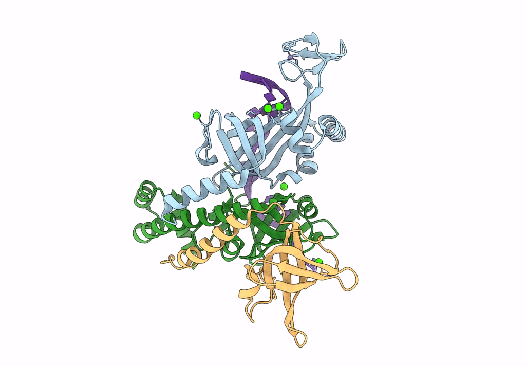 8AAS image