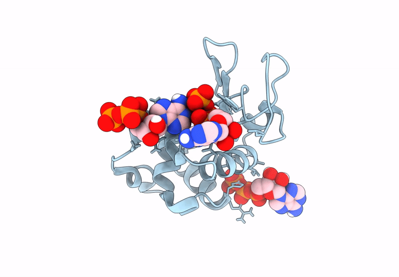 8AAZ image