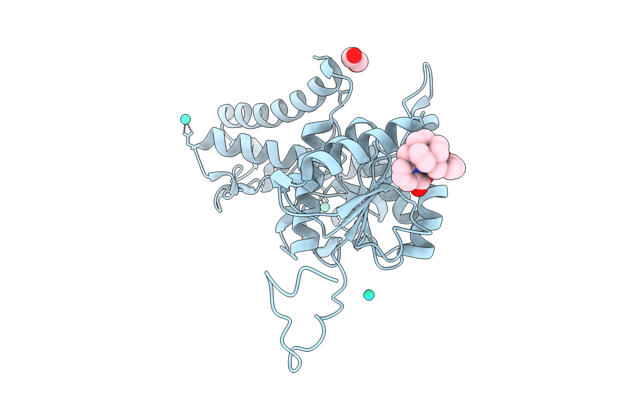 8AB2 image