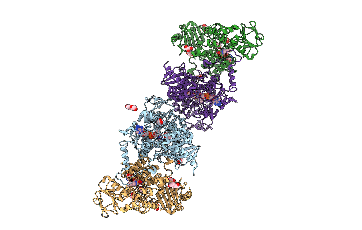 8ACS image