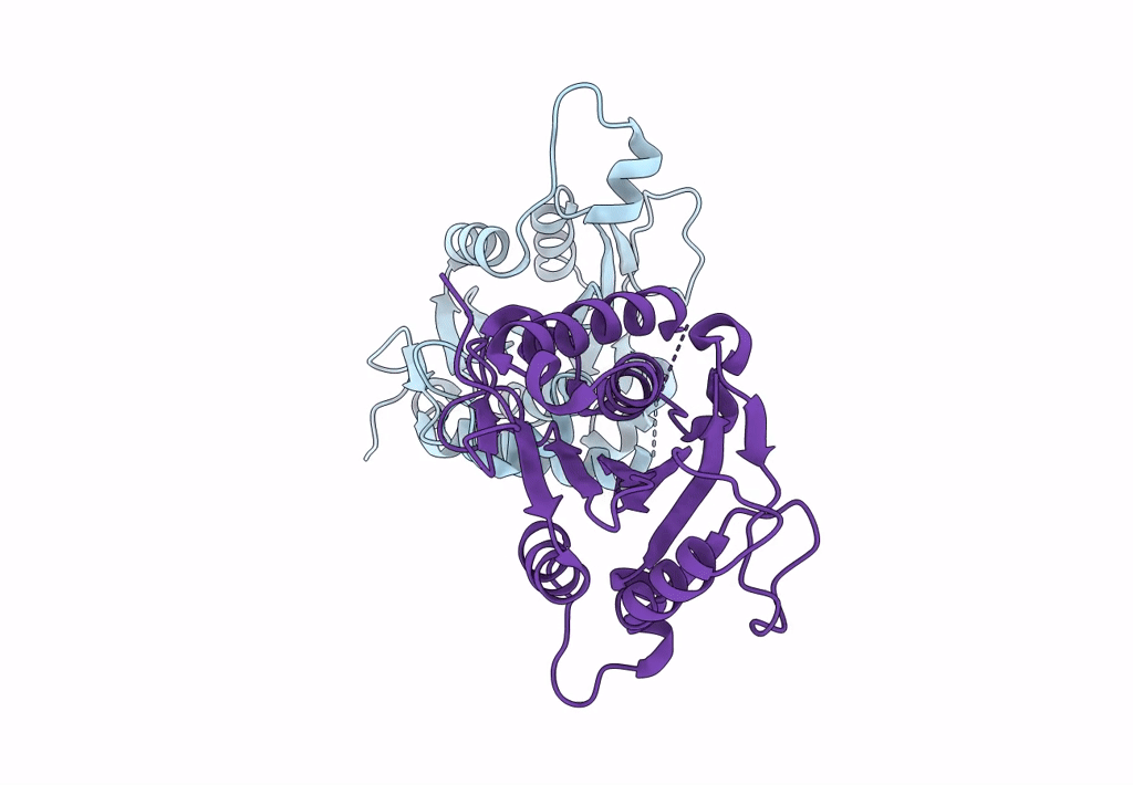 8ADC image