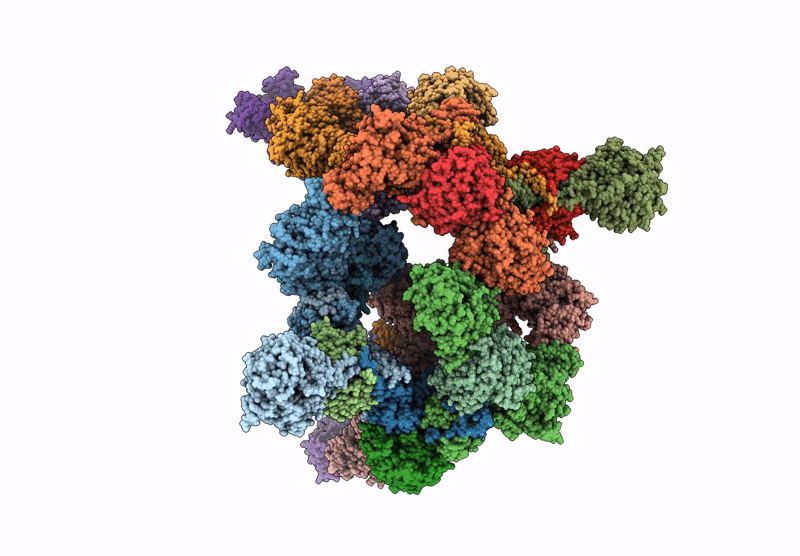 8ADL image