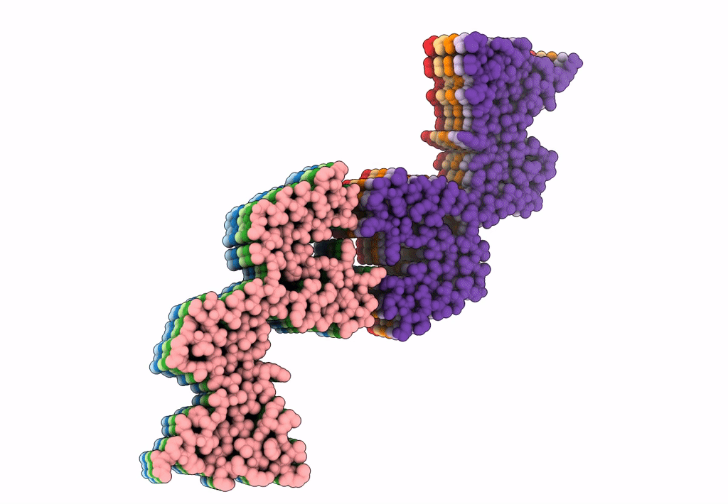 8ADW image