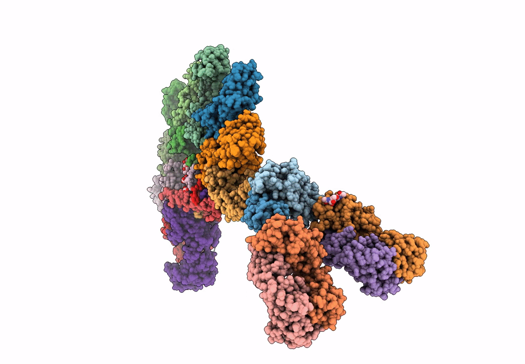 8AE3 image
