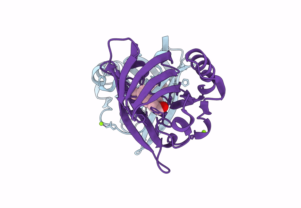 8AEI image